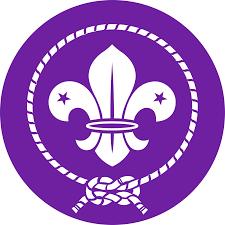 World-Scouting-Organization-Logo World Scouting organization emblem